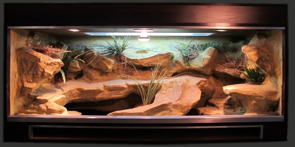 What Size Tank For Leopard Gecko