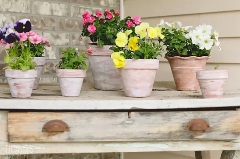 36 Creative DIY Patio Ideas to Upgrade Your Backyard 11 Whitewash Terracotta Pots