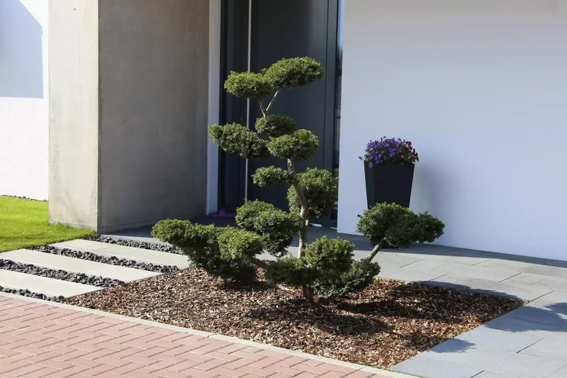 10 Modern Concrete Paver Walkway Ideas for Your Home 8 Wide Concrete Pavers at a Modern House