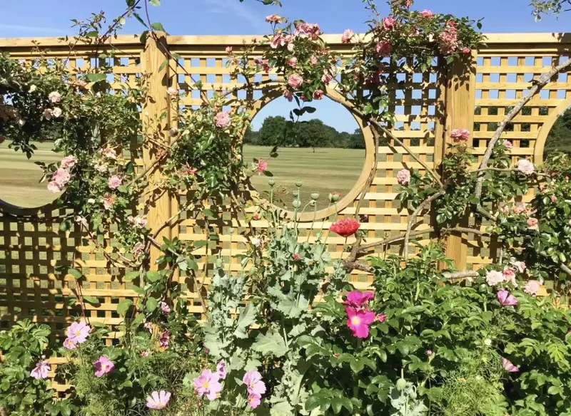 35 Garden Trellis Ideas for Beautiful Supported Plants 28 Wooden Trellis With Portholes